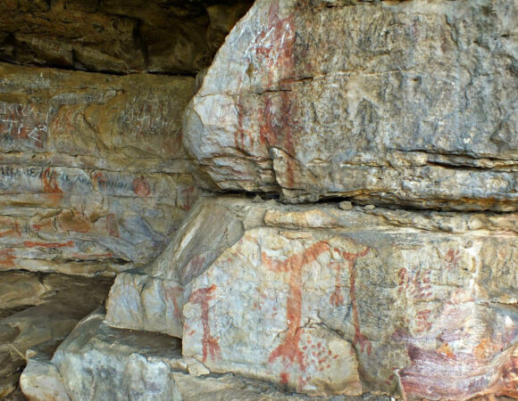 Full Day Tour to visit: Minziro Forest for Birdwatching & Bwanjai Ancient Rock Paintings [ Starting & Ending in Bukoba ]